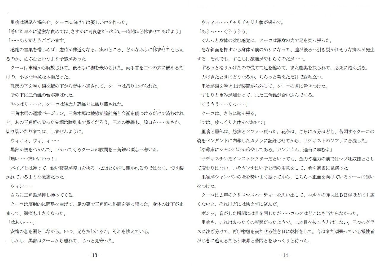 800万円のDVR:4弄虐処分編 サンプル6ページ目