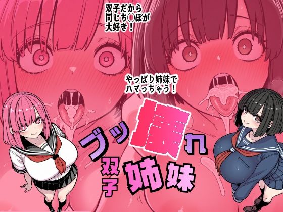 ブッ壊れ双子姉妹