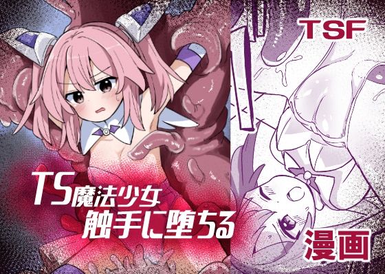 TS魔法少女、触手に堕ちる