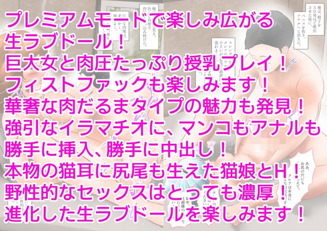 生ラブドールで色んな中出しプレイを楽しんだ。  下巻 サンプル10ページ目