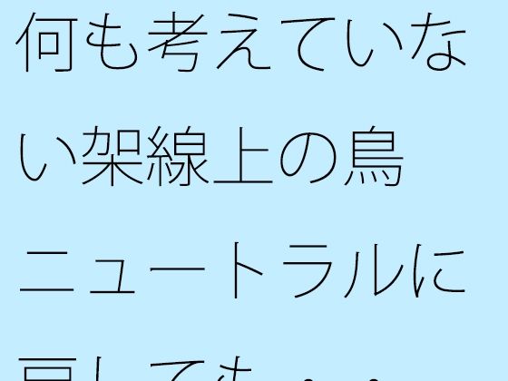 何も考えていない架線上の鳥  ニュートラルに戻しても・・
