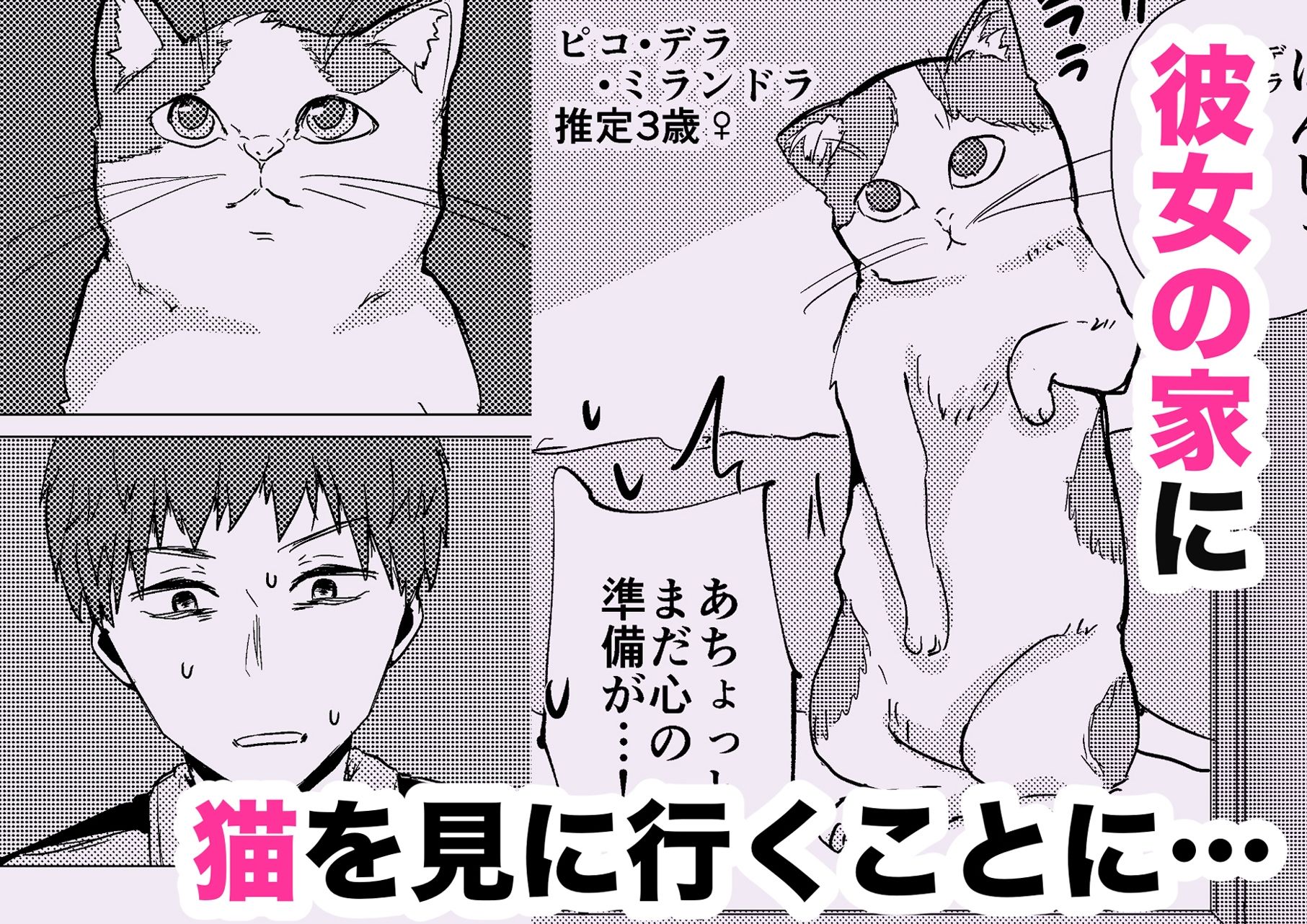 ウチに猫ちゃん見にこない？ サンプル3ページ目