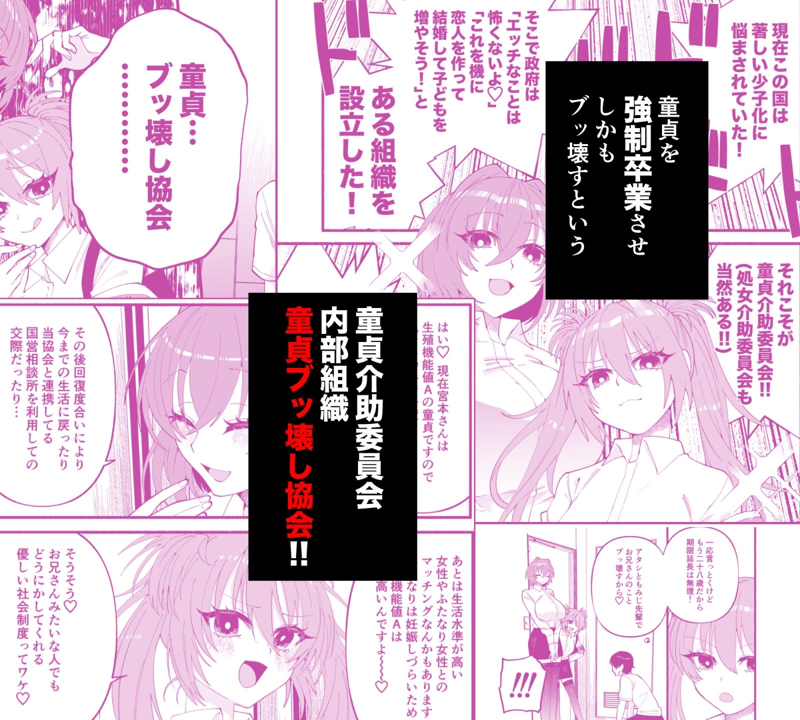 わたくしたち、「童貞介助委員会」内部組織「童貞ブッ壊し協会」の者ですが… サンプル3ページ目