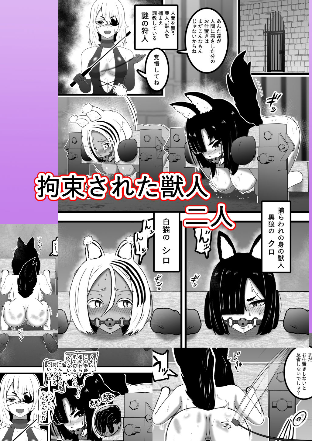 ヴァンパレイド8・5 〜白猫 黒狼 調教編〜 サンプル5ページ目