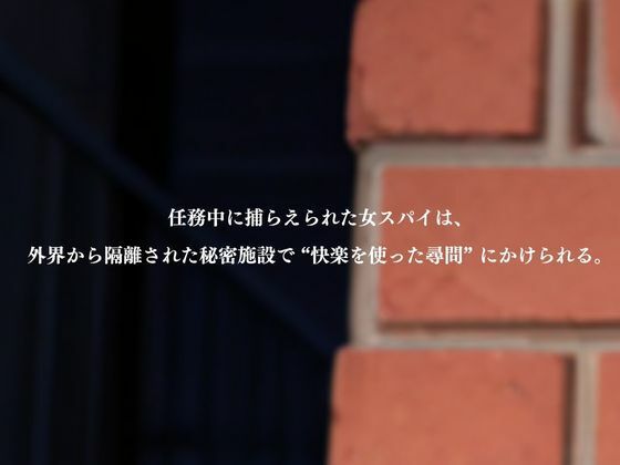 支配の尋問室  -女スパイ 人格崩壊- サンプル2ページ目