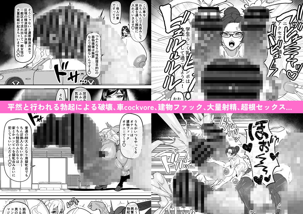 ふたなり特区調査報告書 サンプル2ページ目