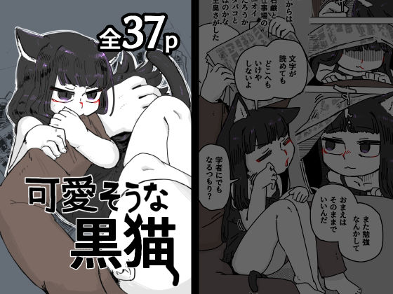 可愛そうな黒猫