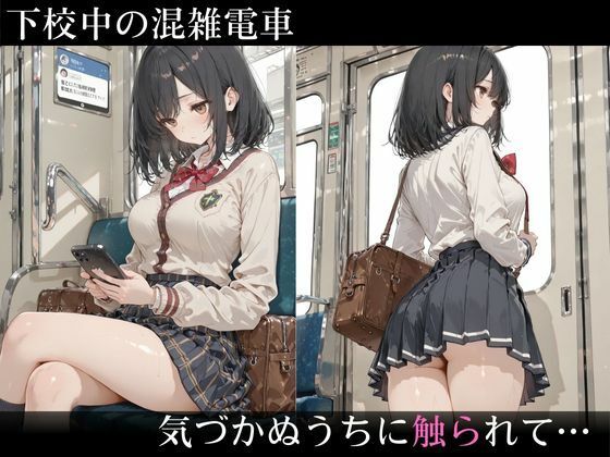 生意気そうな黒髪ショートJKが満員電車で雌の顔に… 声を出せない状況で執拗に中出し種付け サンプル2ページ目