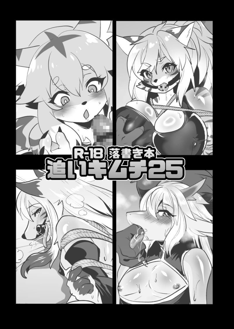 C107 新刊2冊＋無配本セット サンプル6ページ目