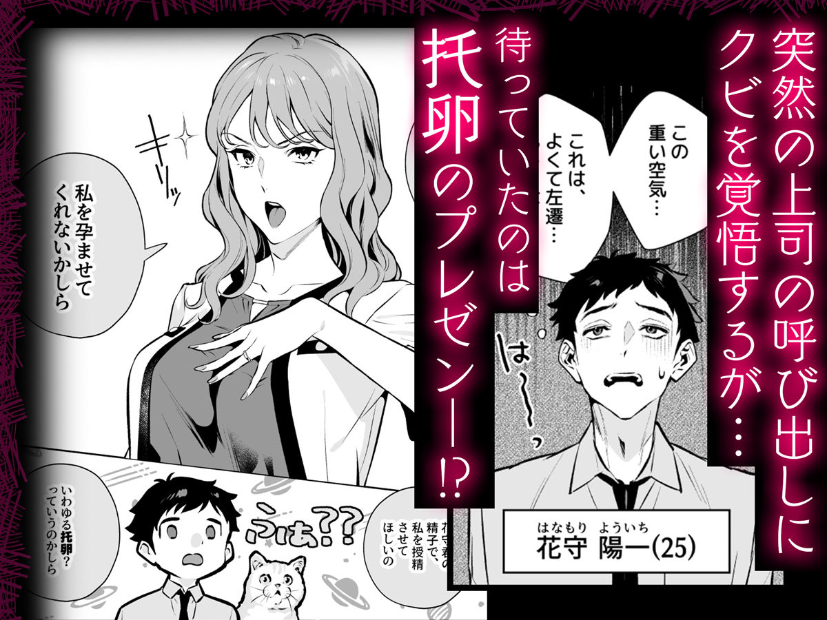 托卵契約 いつも真面目な美人上司（人妻）が、なぜか托卵を迫ってきたので遠慮なく孕ませたった。 サンプル2ページ目