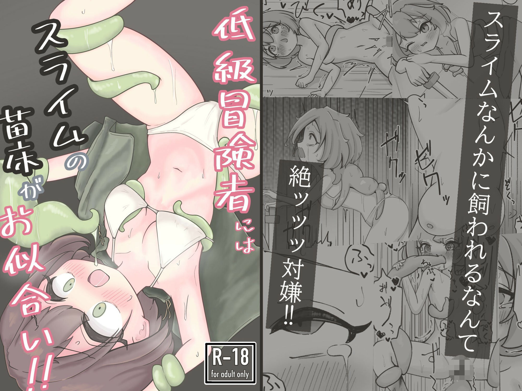 低級冒険者にはスライムの苗床がお似合い！！ サンプル1ページ目