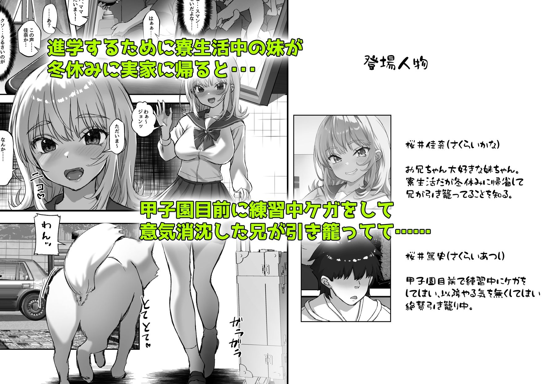 巨乳ちゃんなお兄ちゃん好き好き妹J系がヘタレ兄貴をおま〇こ使って更生させちゃう話。 サンプル1ページ目