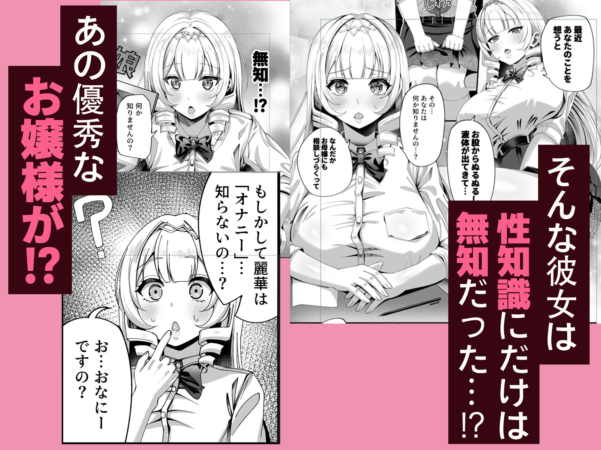 性知識にだけ無知すぎるお嬢様 サンプル2ページ目