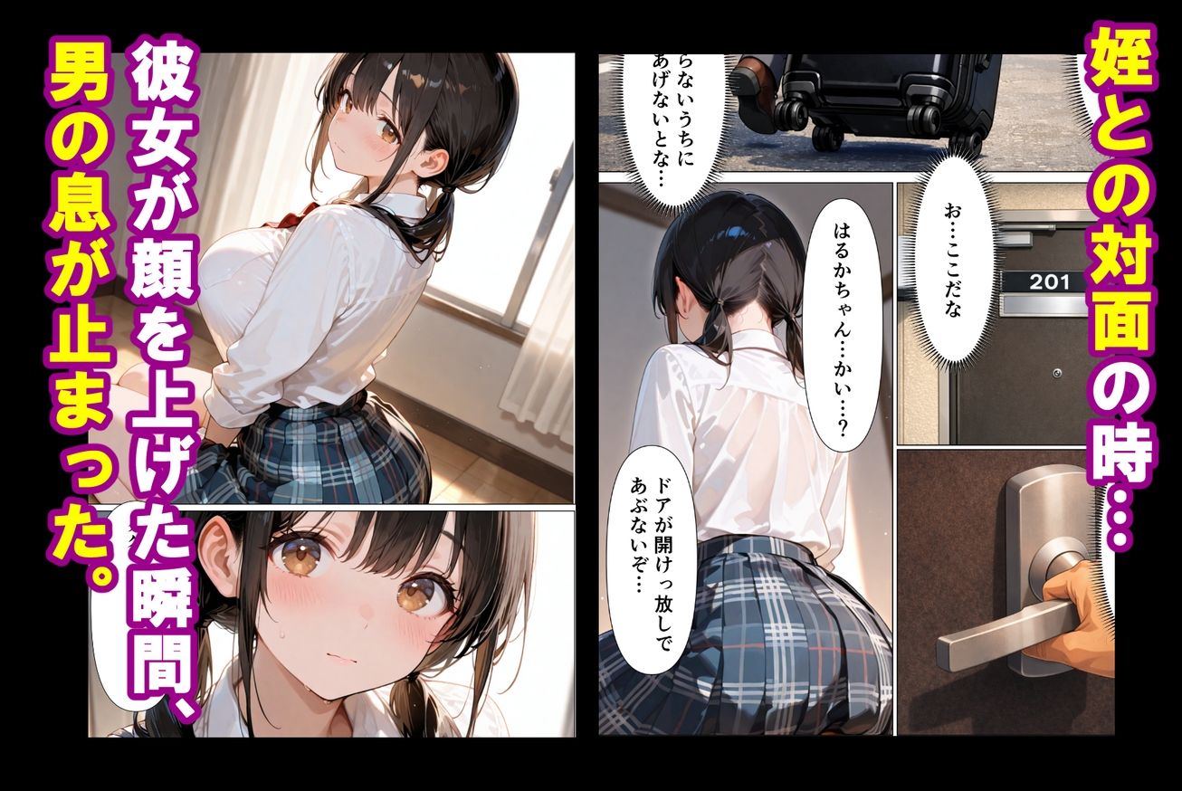 実姉を奪い損ねた男が、姉にそっくりな姪に、執着の精子をどろどろと注ぎ込む話 サンプル4ページ目