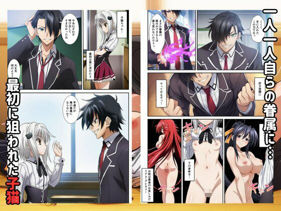 ハーレムハイスクールD×D！もしリアスの眷属が俺のものになったら サンプル2ページ目