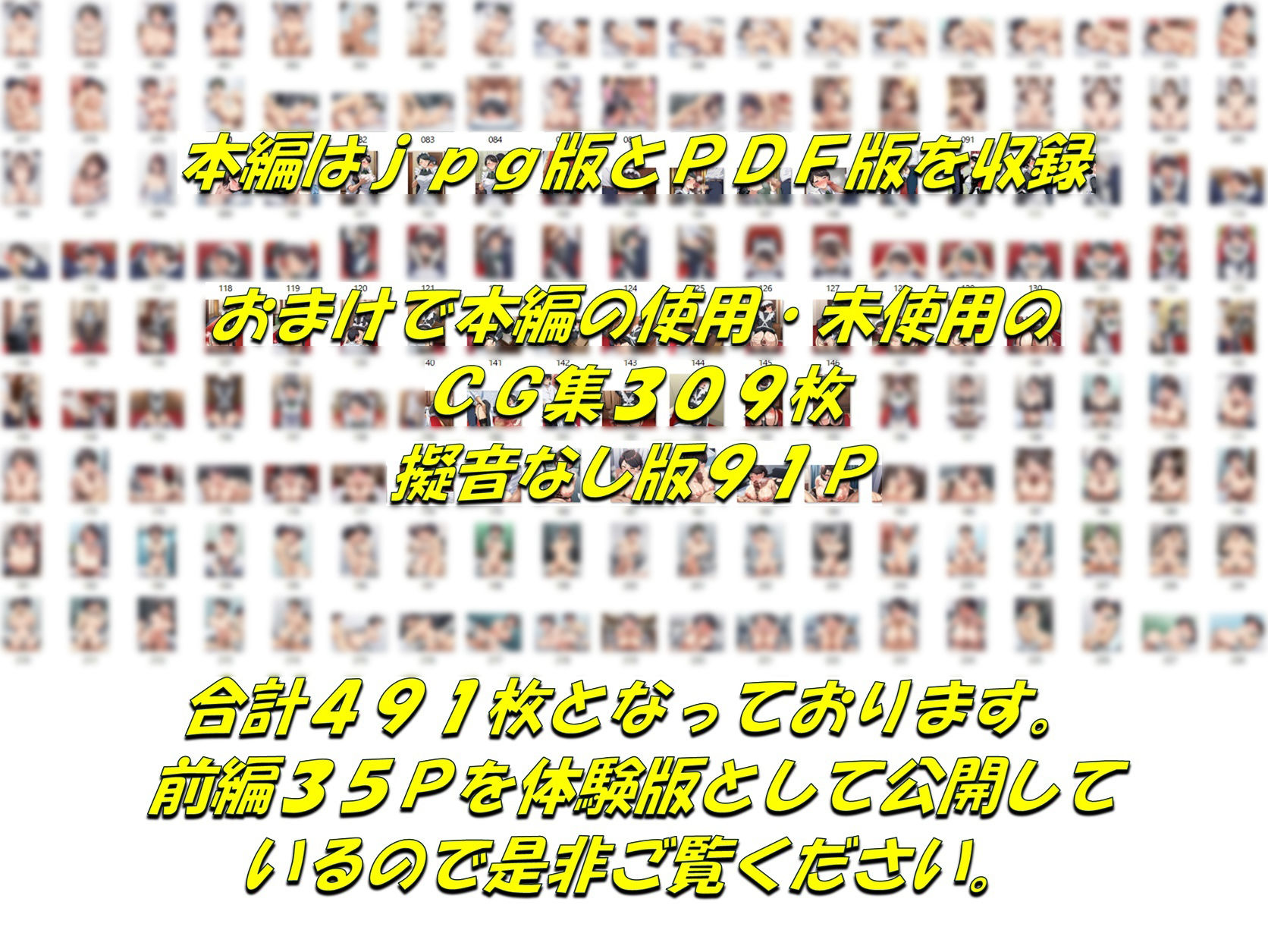 メイドで童貞卒業するよう言われたので昔から好きだった行き遅れ処女メイド長を寵愛して孕ませる話 サンプル10ページ目