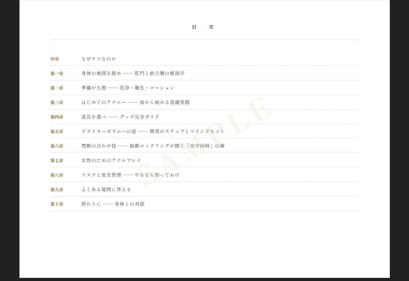 アナルオナニー最強大全 サンプル1ページ目