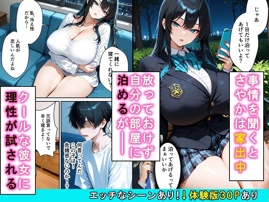 家出したクールなギャルを拾ったらベタ惚れされてイチャラブセックスした話 サンプル2ページ目