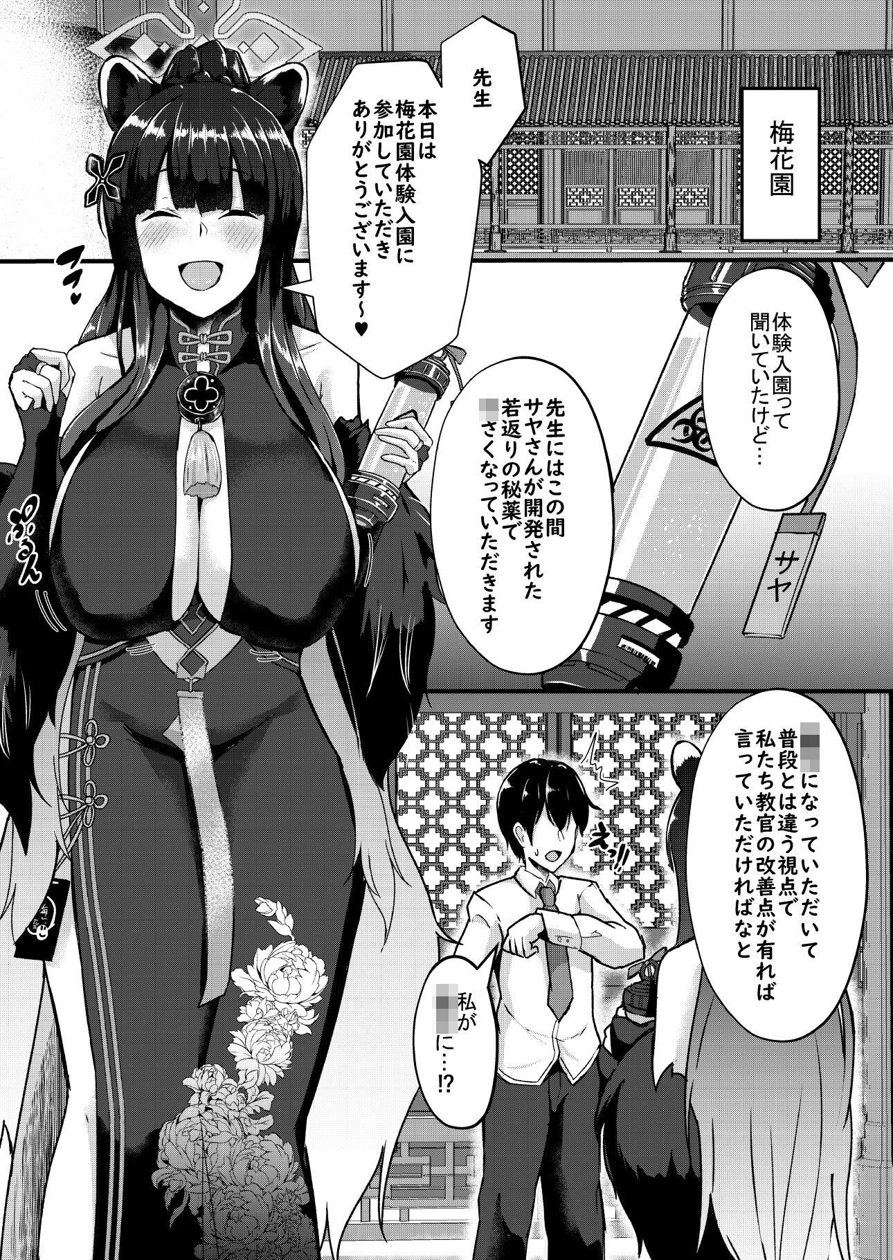 -Bl○e Archive- Summary Book サンプル2ページ目
