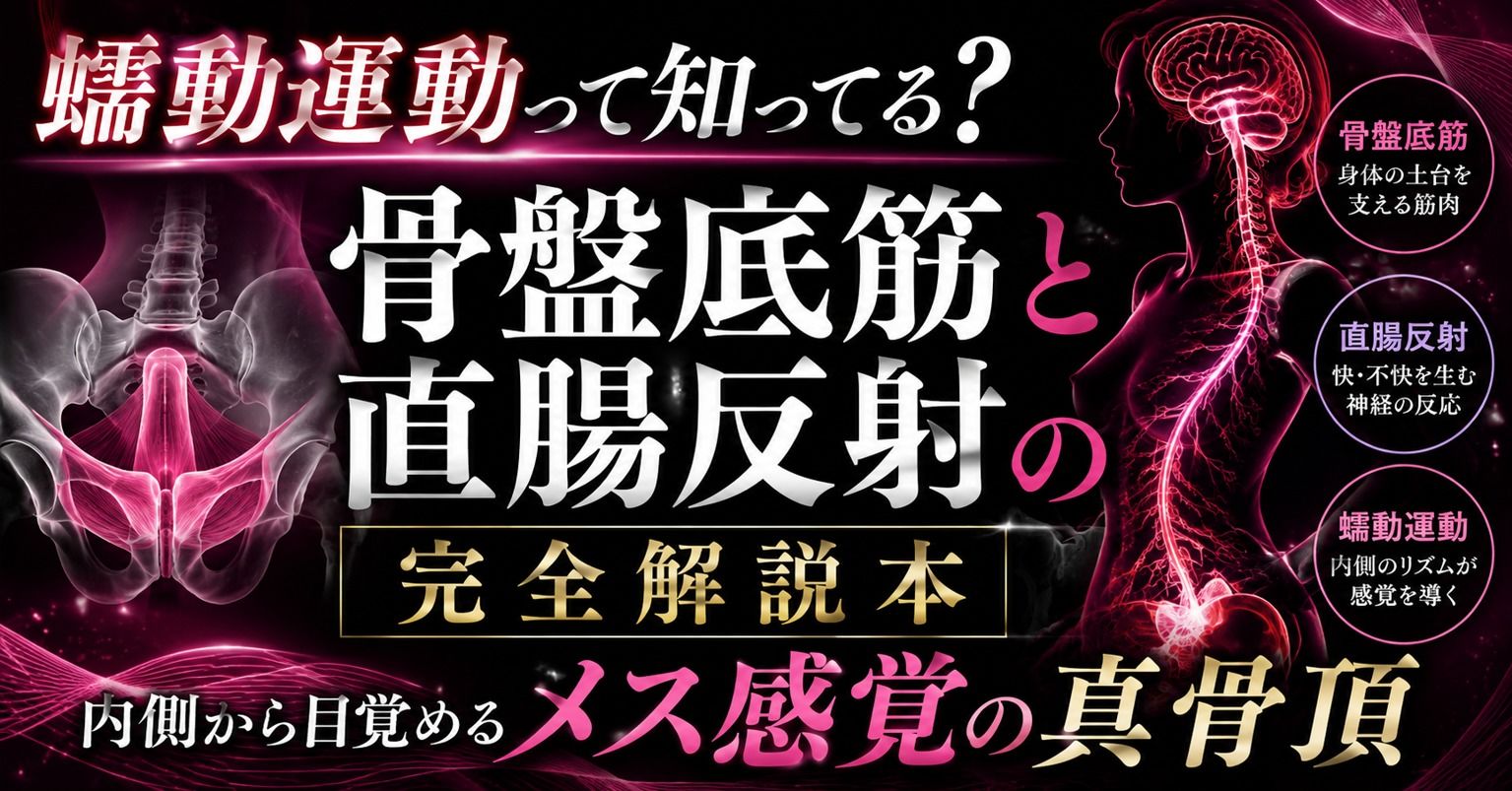 メスイキが起きる瞬間に発動する  エネマ・アネロスがアナルの中で 勝手に動き出す蠕動運動の起こし方  徹底解説 サンプル1ページ目