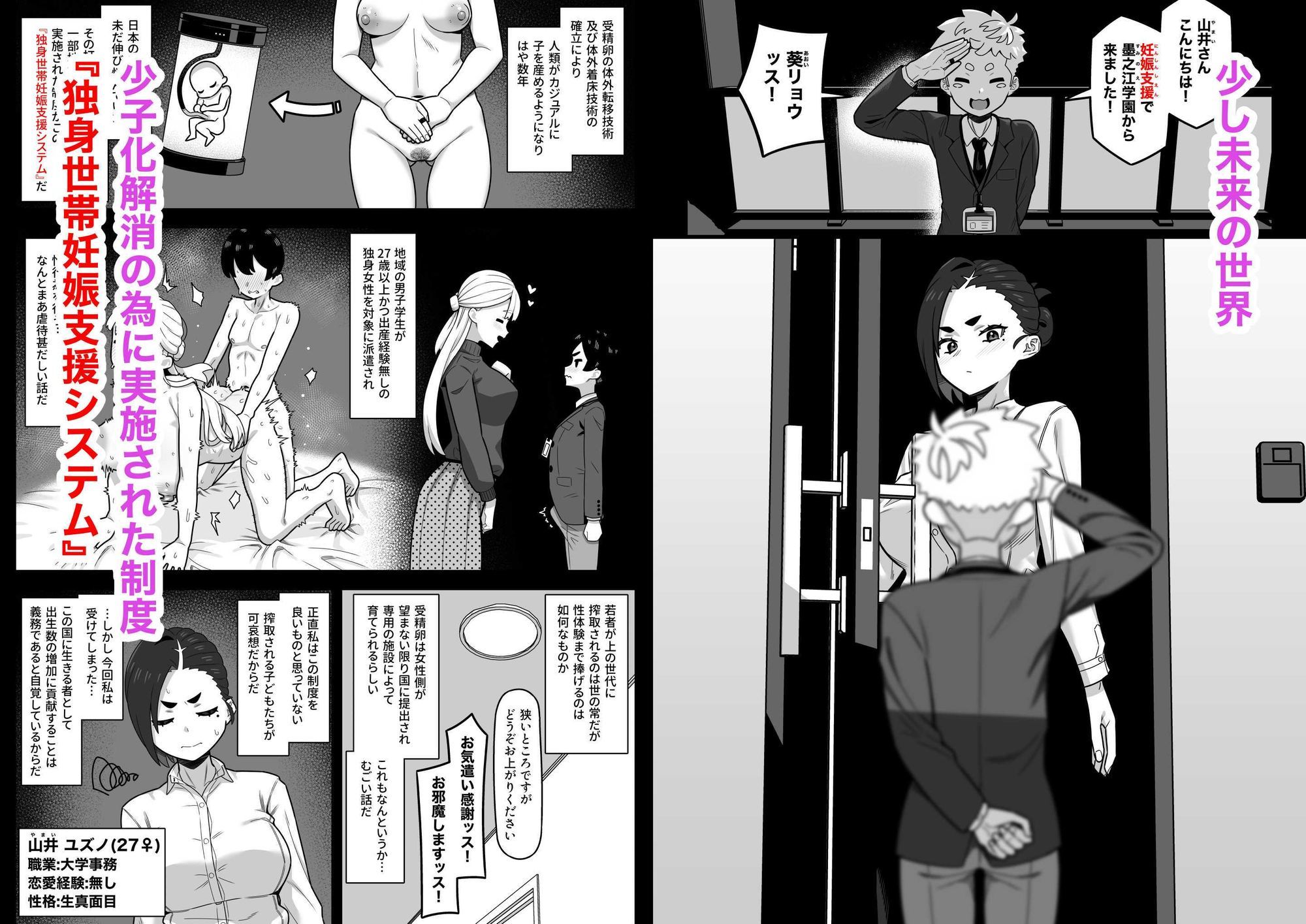 独身世帯妊娠支援システム サンプル1ページ目