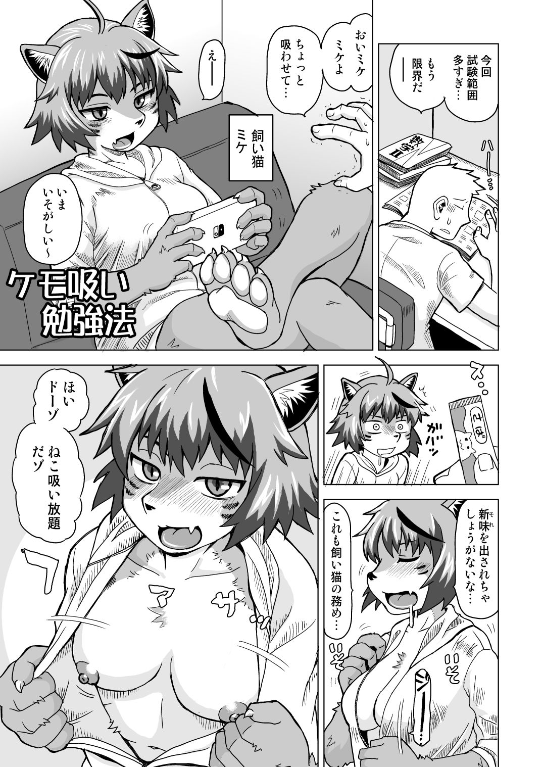 ネコモリアワセ サンプル2ページ目