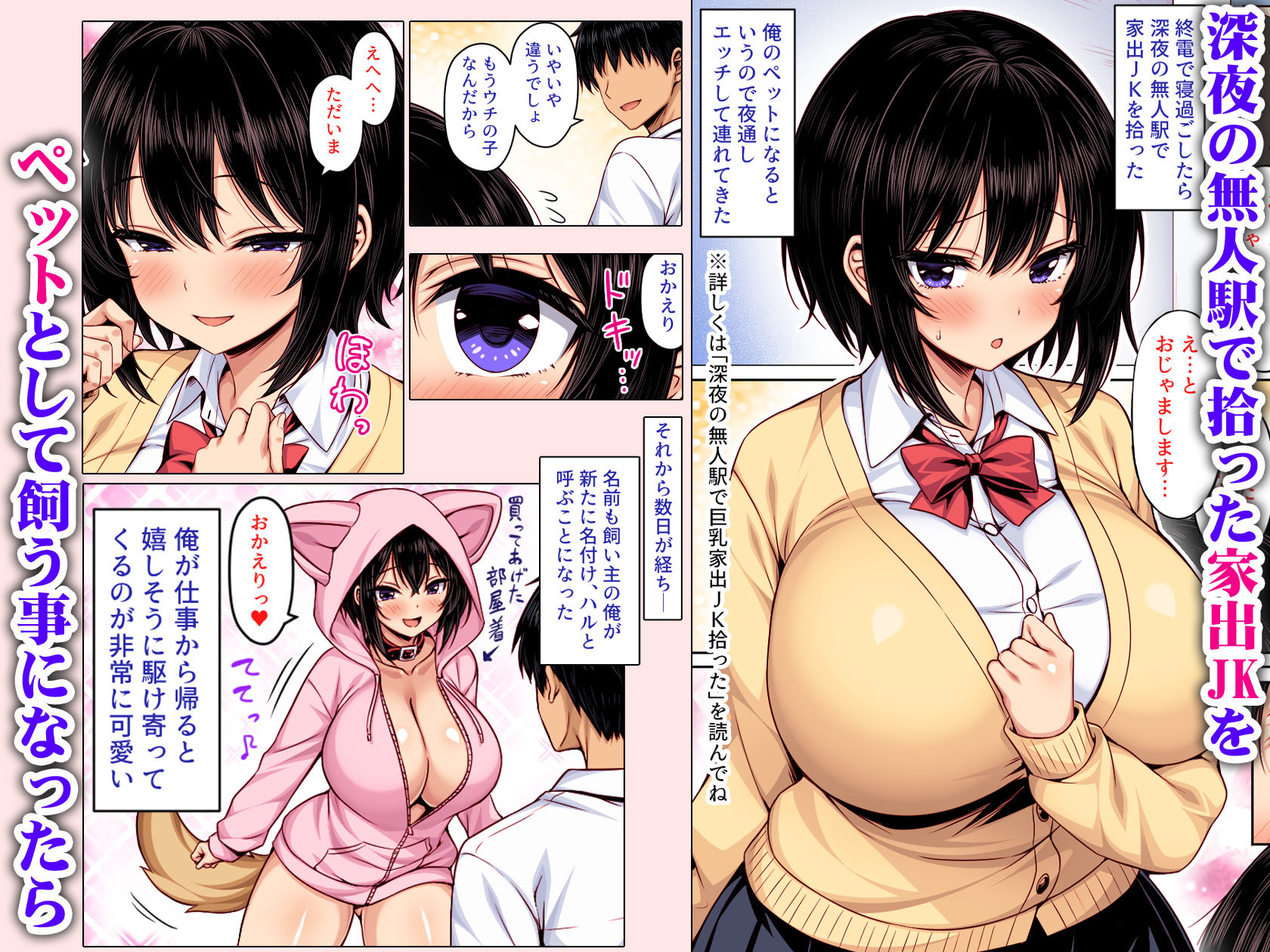 深夜の無人駅で拾った巨乳家出JKの飼い主の日常  カラー版 サンプル1ページ目
