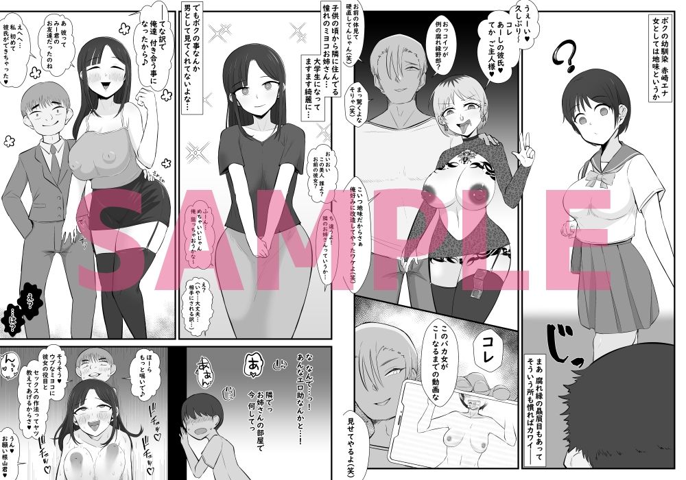 【BSS】ボクは相手にされないヤリマン図鑑 サンプル3ページ目