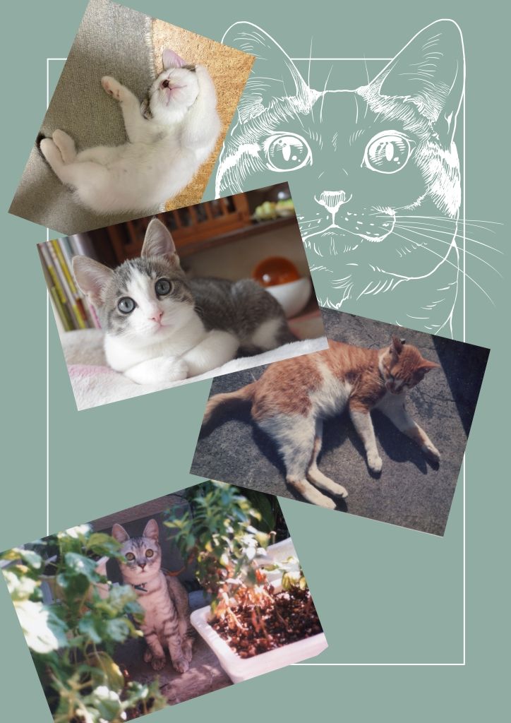 ねこのあれこれ サンプル8ページ目