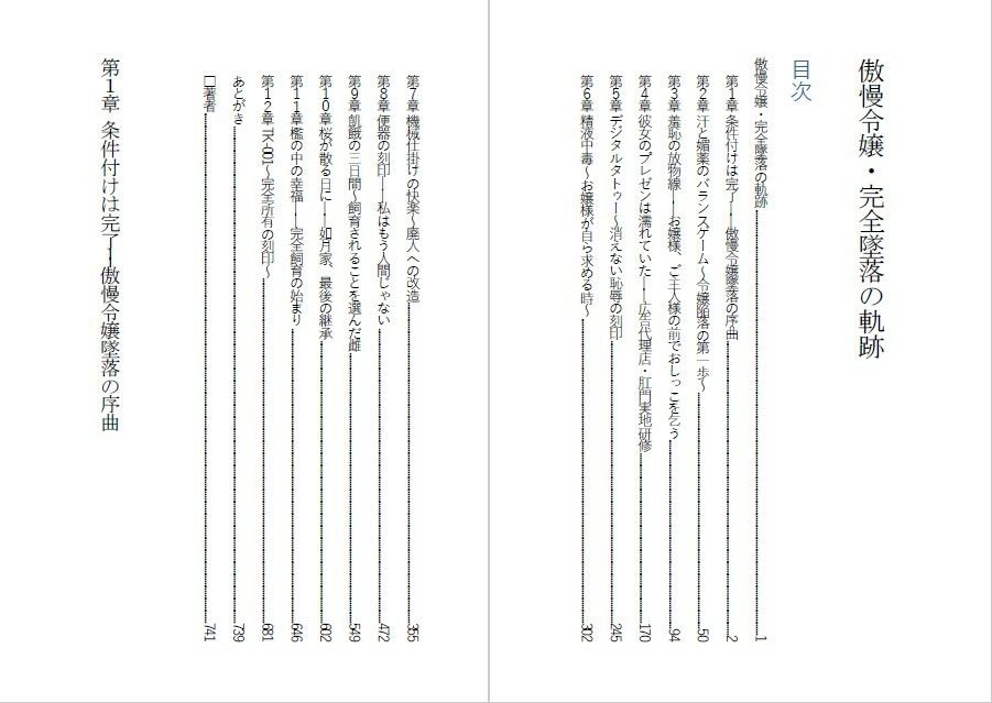 傲慢令嬢を肉便器に変える1ヶ月 サンプル1ページ目