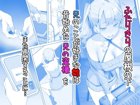 見守りカメラでお兄を視てたらあたしも視られてた話 サンプル2ページ目