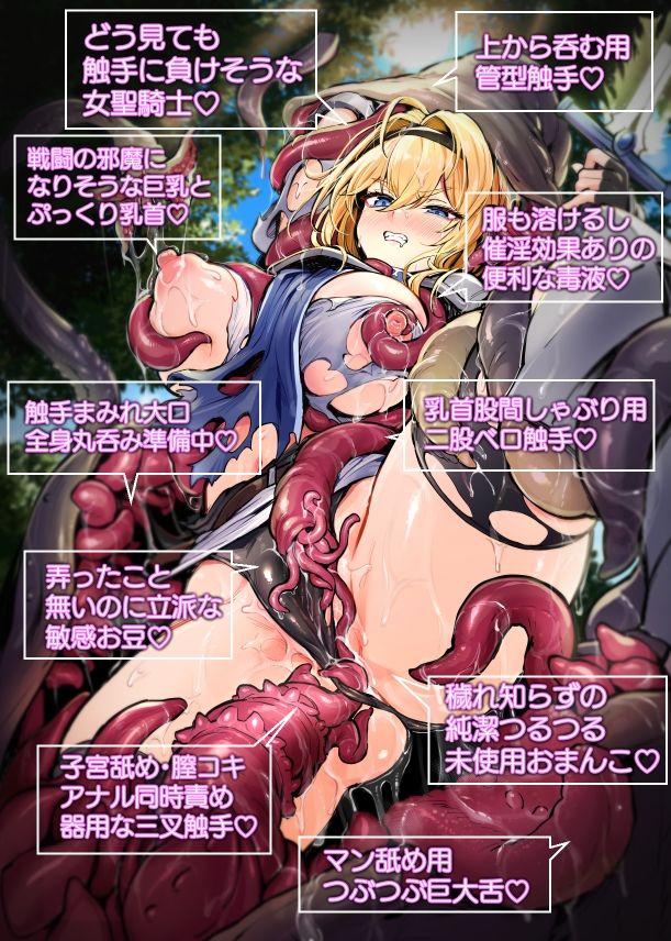 聖騎士様は丸呑み触手のナカ。 サンプル6ページ目