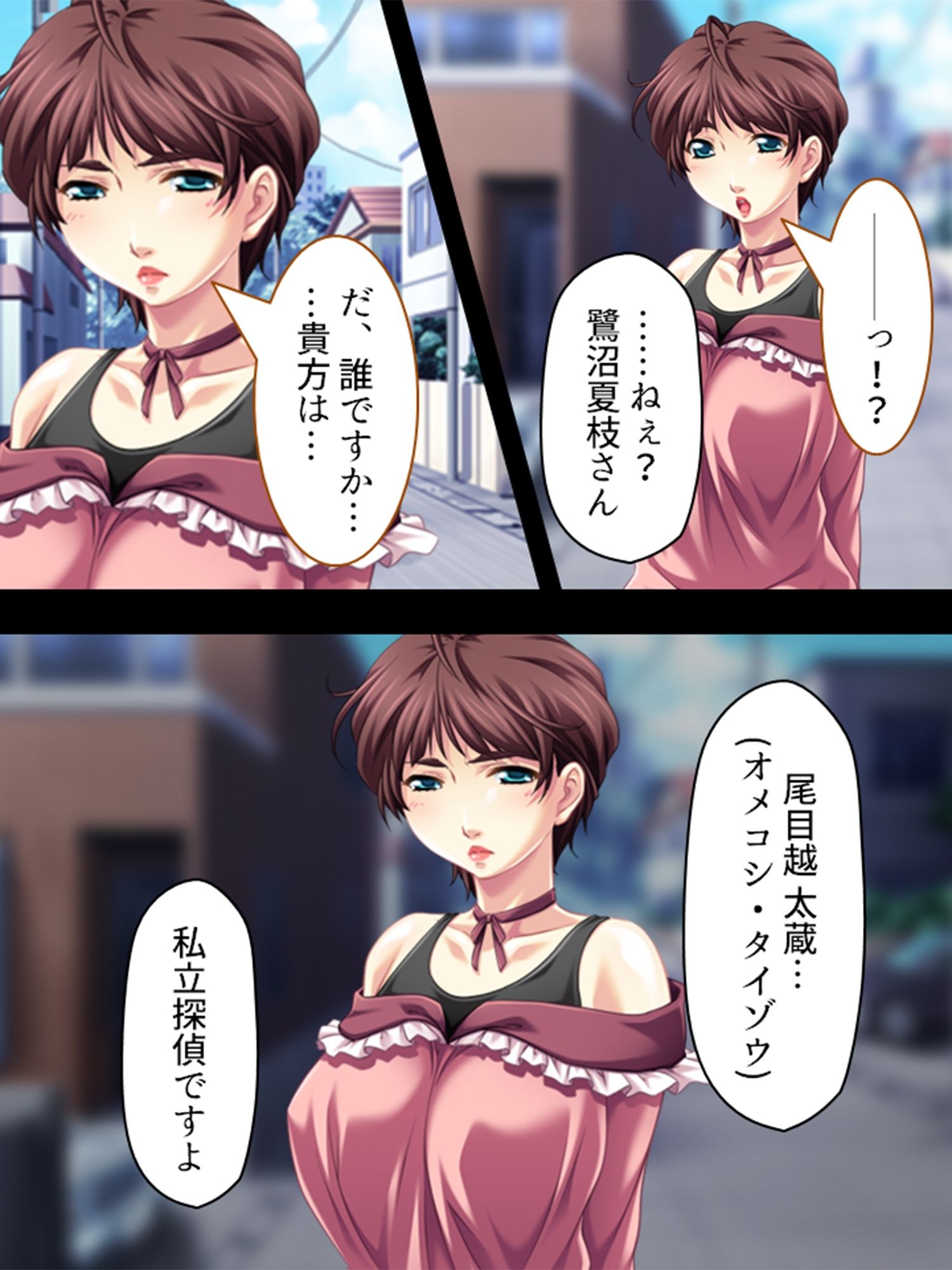 旦那から不倫調査を頼まれた俺が浮気妻に迫ってハメる  ＜総集編＞ サンプル1ページ目