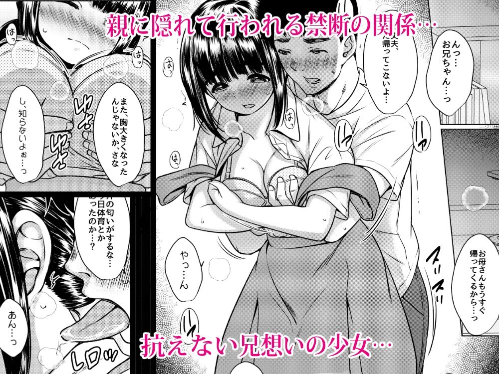 兄妹が終わる時  〜可愛く成長した妹に壊れた兄が手を出すまで〜 サンプル2ページ目