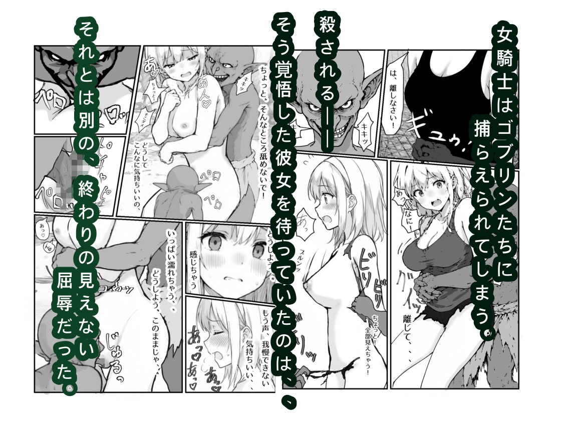 女騎士敗北録 〜ゴブリンの森〜  1 サンプル3ページ目