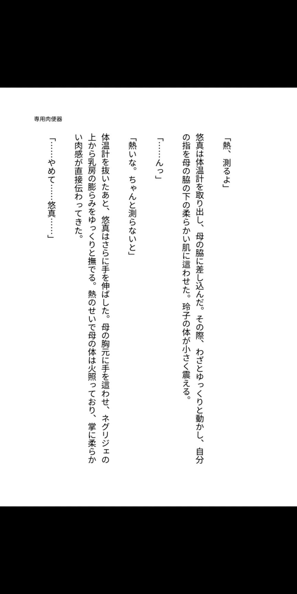 母は僕の専用肉便器 ― 玲子、血の繋がった穴として堕ちるまで― サンプル9ページ目