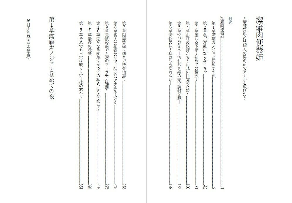 潔癖肉便器姫〜清楚な彼女は50人の男の前でアナルを広げた〜 サンプル1ページ目