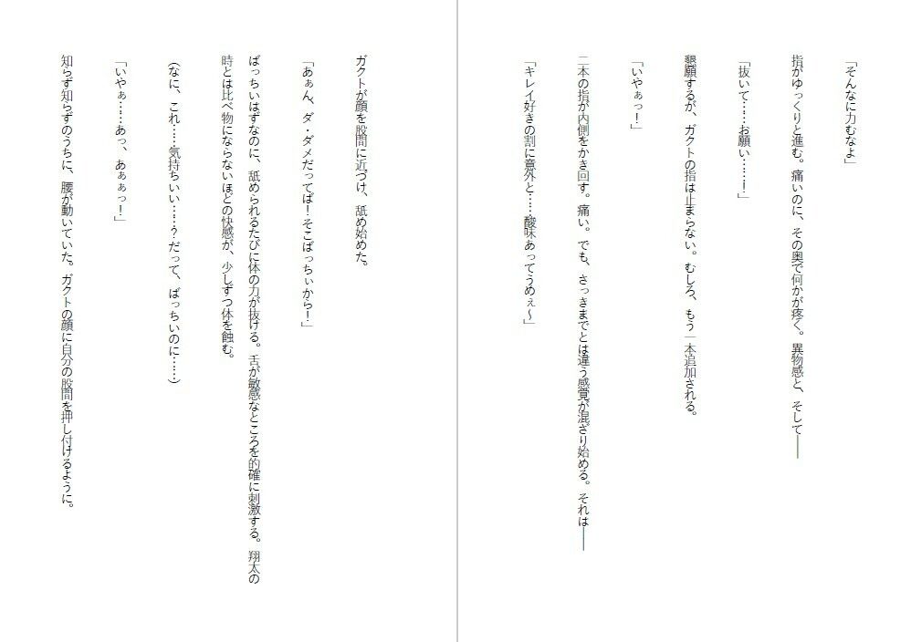 潔癖肉便器姫〜清楚な彼女は50人の男の前でアナルを広げた〜 サンプル3ページ目