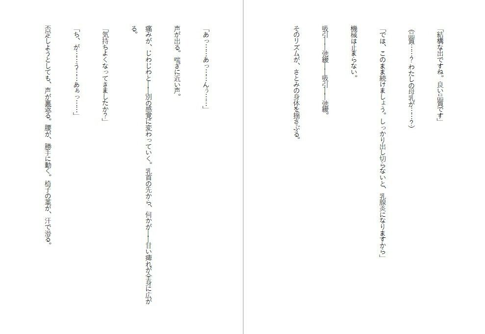 肉便器シスター〜聖女は快楽に堕ち、家畜となる〜 サンプル4ページ目