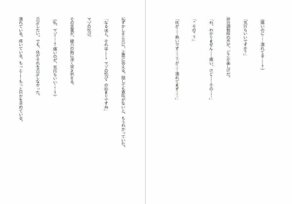 肉便器法〜Sランク肉便器になるまで〜 サンプル3ページ目