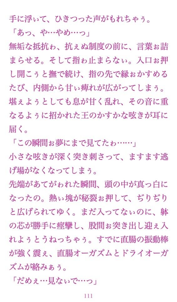 聖フタナリ王国誌 完全版 全十二章 サンプル9ページ目
