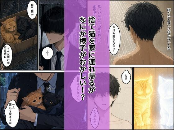 拾った子猫たちがえっちな化け猫で毎日ヤりたい放題 サンプル2ページ目