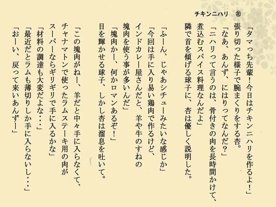 インドカレー伊予島のお手軽レシピ帖 三の章 サンプル2ページ目