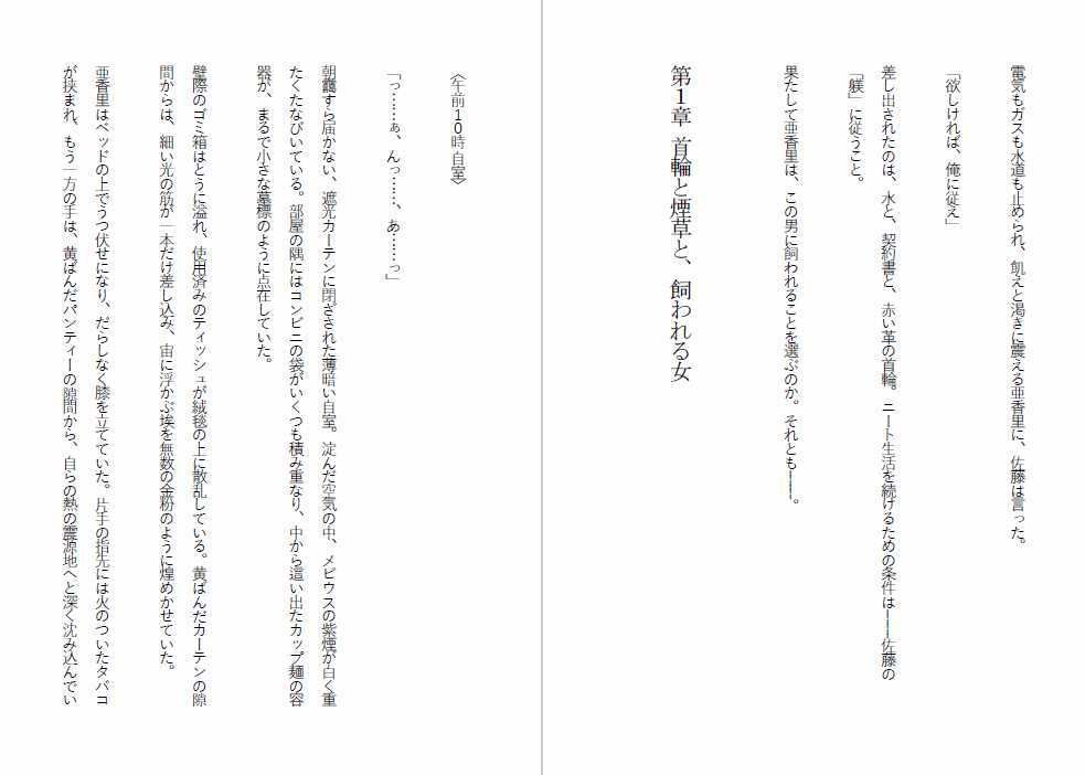 ニート雌豚開発計画-ニートからペットへ サンプル3ページ目