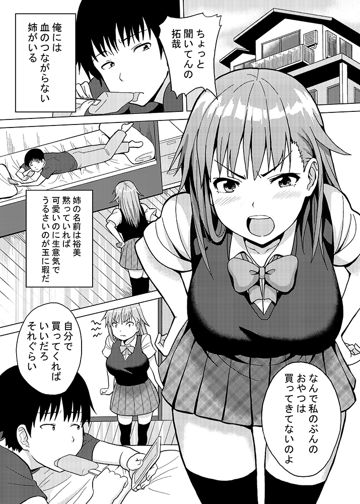 記憶を失くした義姉を恋人同士とダマして犯してみたら サンプル1ページ目
