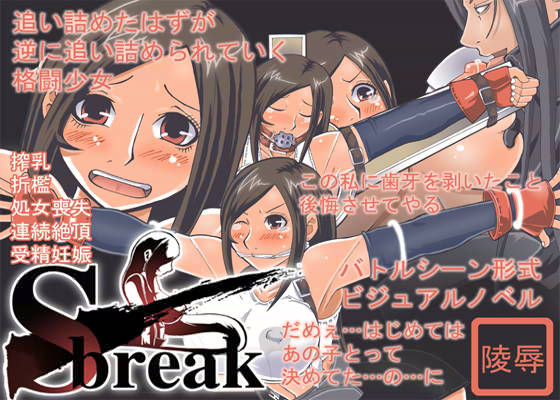 S Break サンプル1ページ目