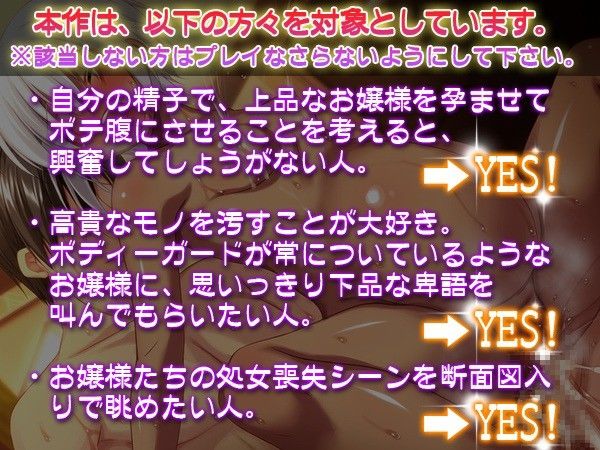 高貴なお嬢様を片っ端から孕ませたら、どうなるか？ サンプル1ページ目