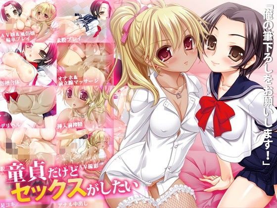 童貞だけどセックスがしたい