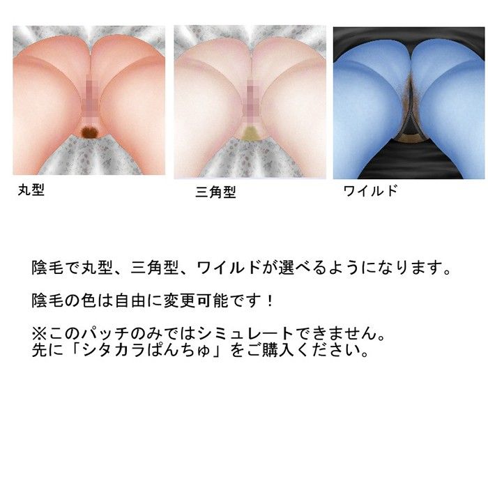 SP05陰毛追加パッチ サンプル1ページ目