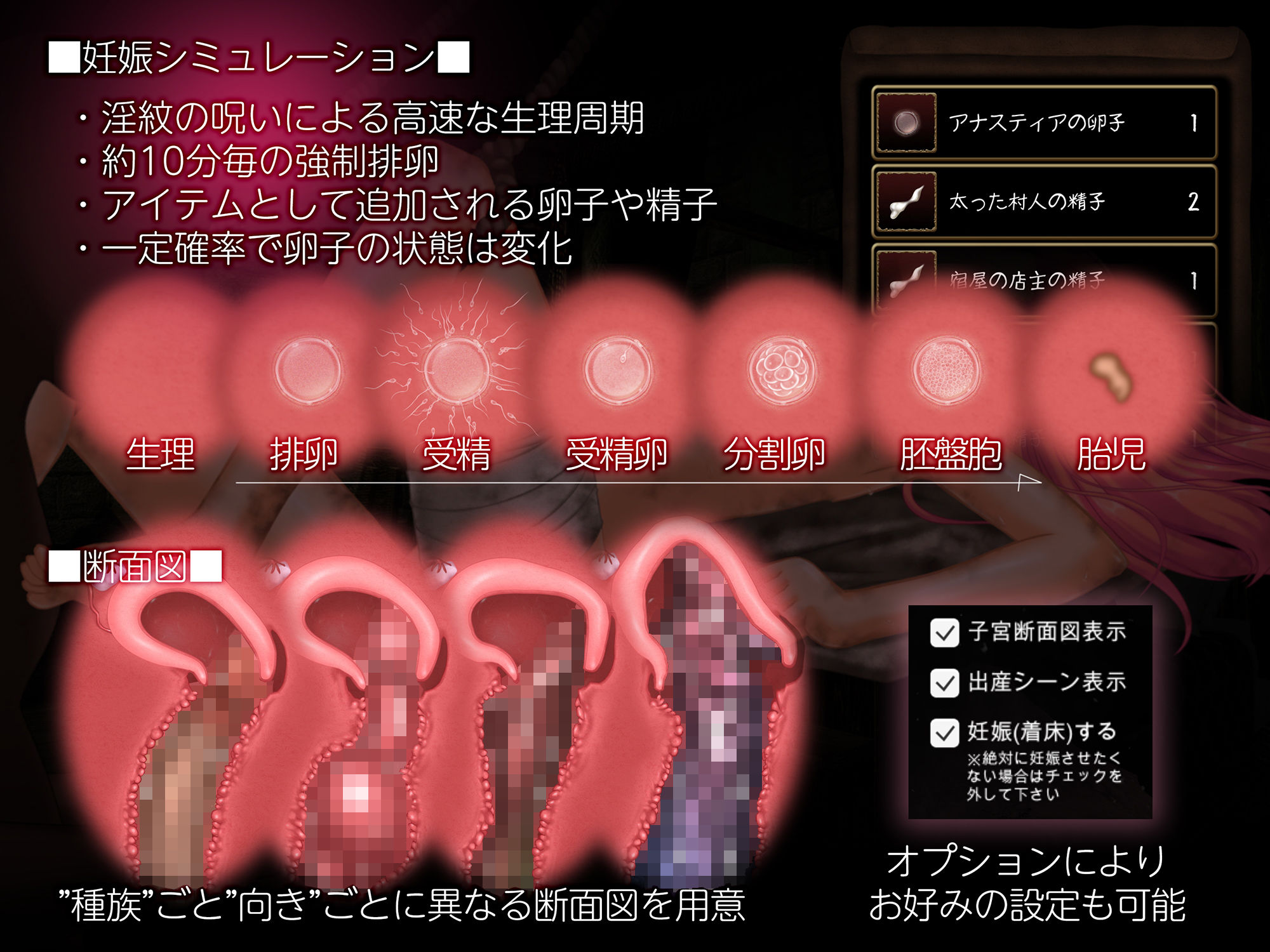 零落の姫騎士アナスティア〜どの種族の精子でも受精する呪いの淫紋〜 サンプル5ページ目